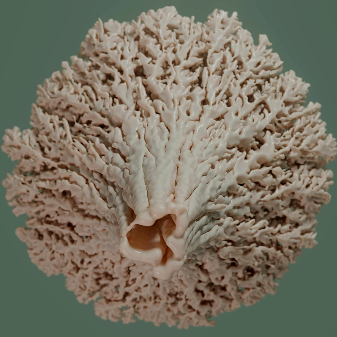 Organism 3
