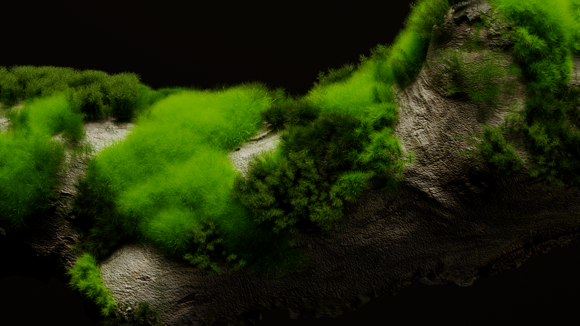 Moss