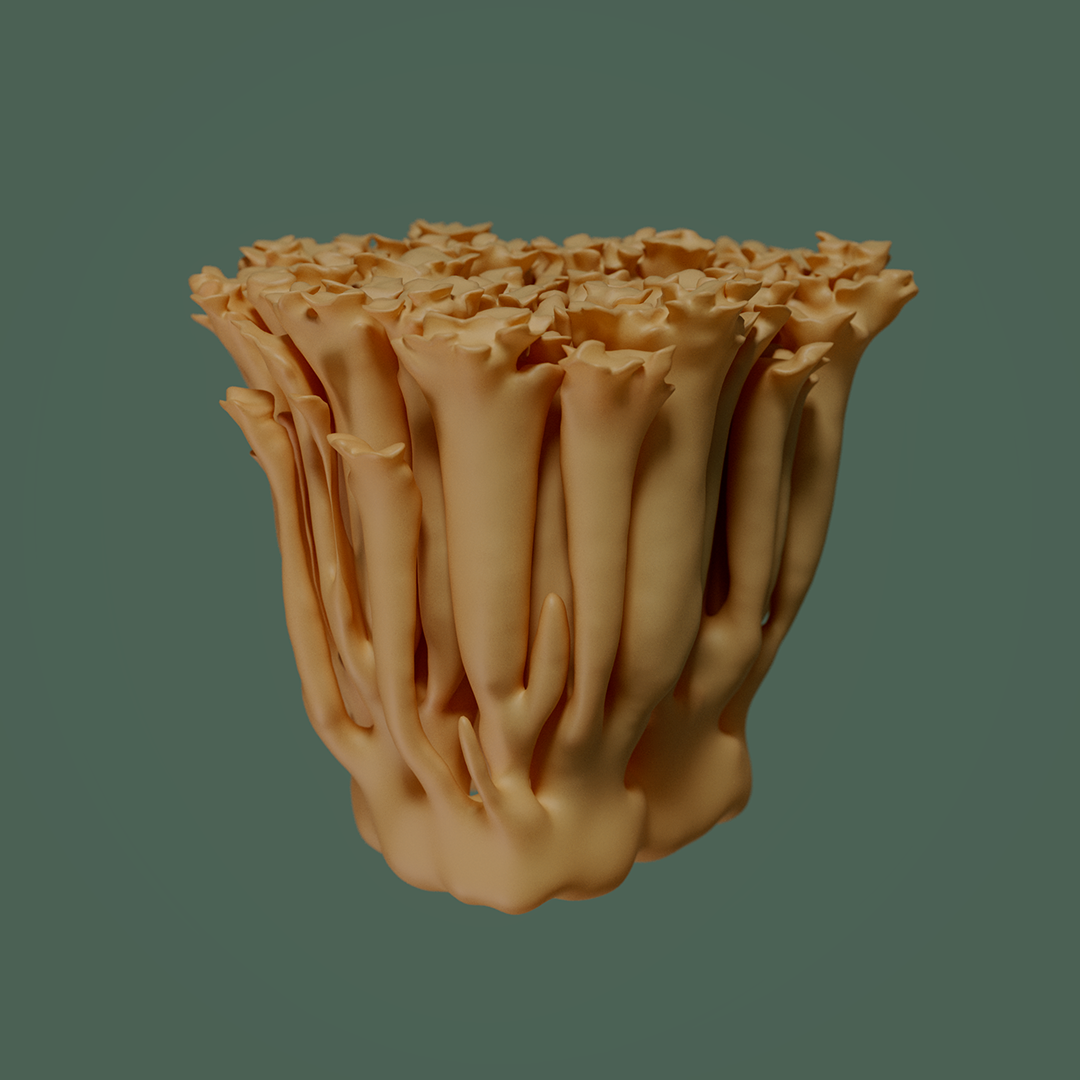 Organism 2