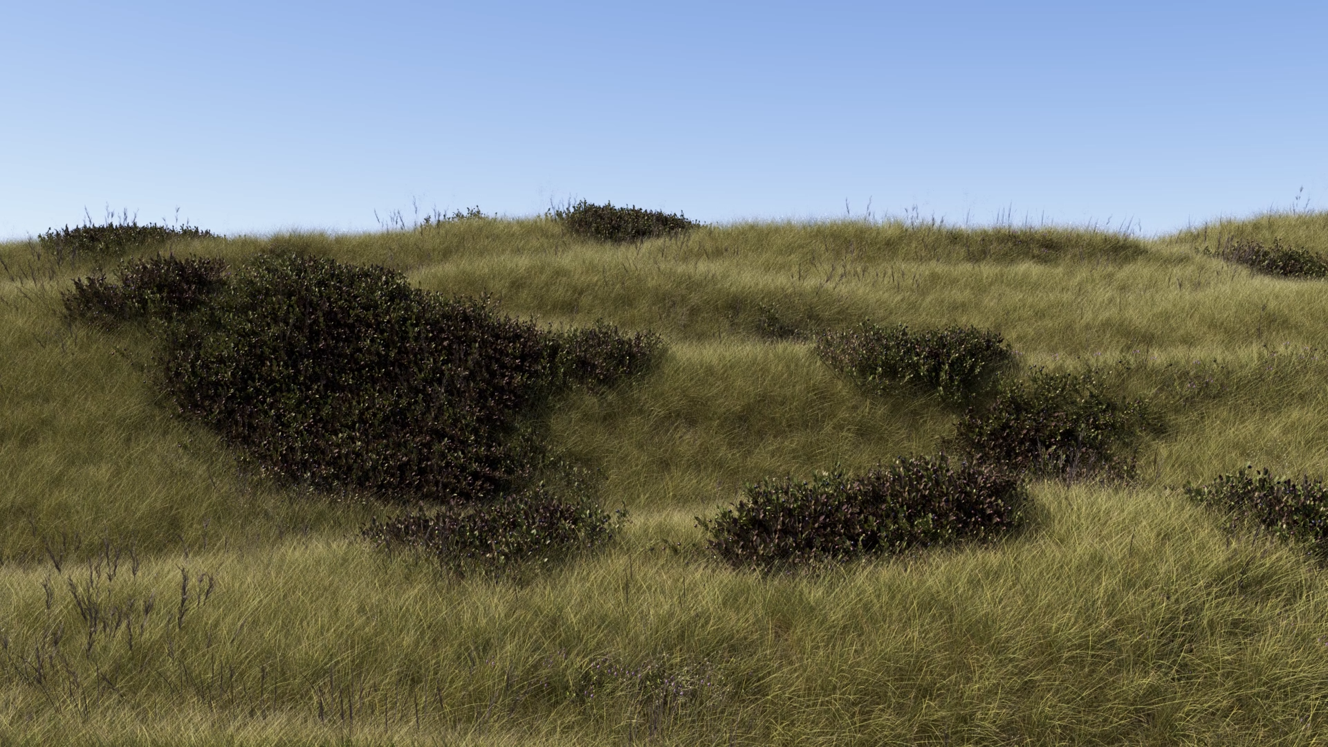 Rolling Hills
